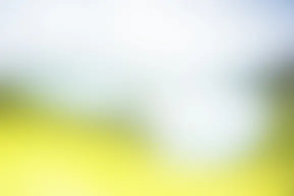 エムアイエヌティー カジノ サポート